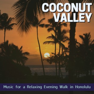 Music for a Relaxing Evening Walk in Honolulu