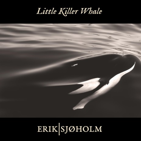 Little Killer Whale | Boomplay Music