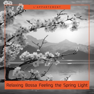 Relaxing Bossa Feeling the Spring Light