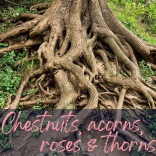 Chesnuts, Acorns, Roses & Thorns