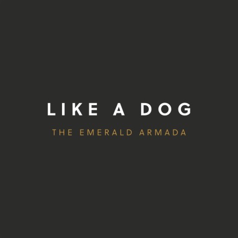 Like a Dog | Boomplay Music