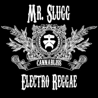 Electro Reggae