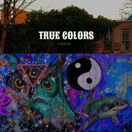 True Colors | Boomplay Music