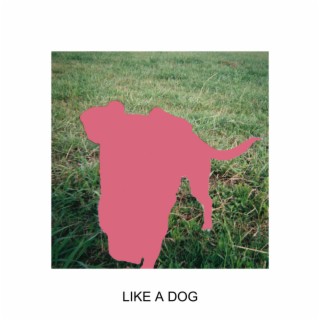 Like A Dog lyrics | Boomplay Music