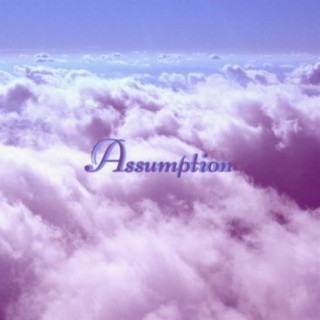 Assumption (feat. Lumelle)