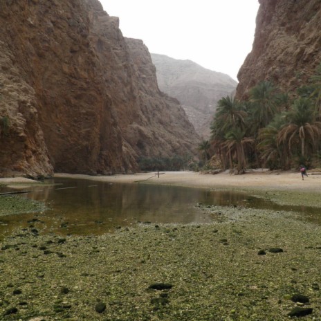 Wadi