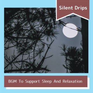BGM To Support Sleep And Relaxation