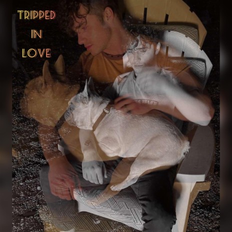 Tripped in love | Boomplay Music