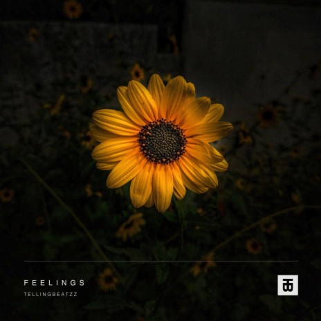 Feelings | Boomplay Music