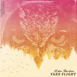 Take Flight lyrics | Boomplay Music