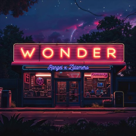 WONDER (Intro) ft. zalamero | Boomplay Music