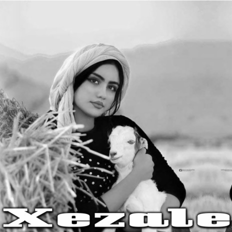 Xezale Kurdish Trap | Boomplay Music