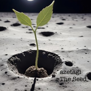 The Seed (electronic)