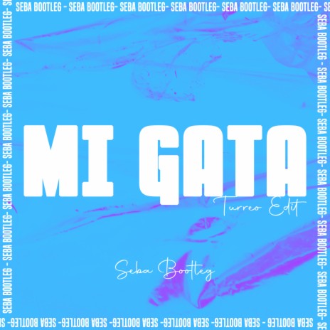 Mi Gata (Turreo Edit) | Boomplay Music