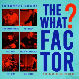 The What Factor? (feat. Nigel Price & Tony Remy) (feat. Nigel Price & Tony Remy) (The Masterlink Sessions)