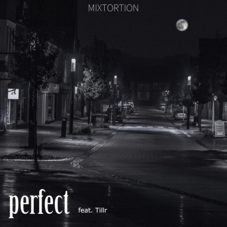 Perfect (feat. Tillr) | Boomplay Music