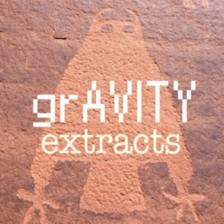 grAVITY extracts