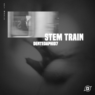 Stem Train