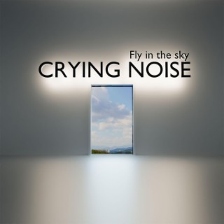 Fly in the sky