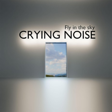 Fly in the sky | Boomplay Music