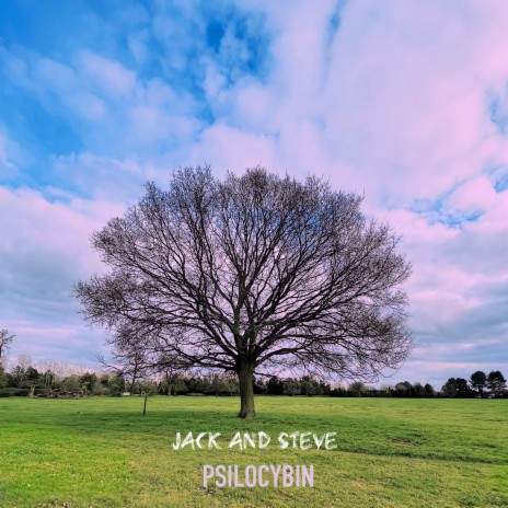 Psilocybin | Boomplay Music