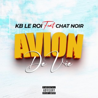 Avion de vie