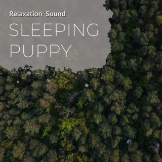 Relaxation Sound