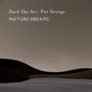 Dark Sky Arr. For Strings