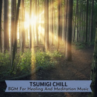 BGM For Healing And Meditation Music