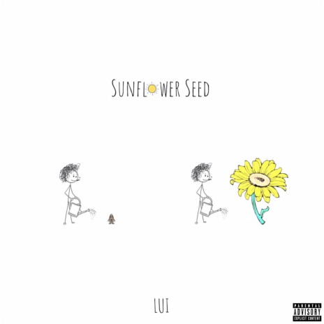 Sunflower Seed | Boomplay Music
