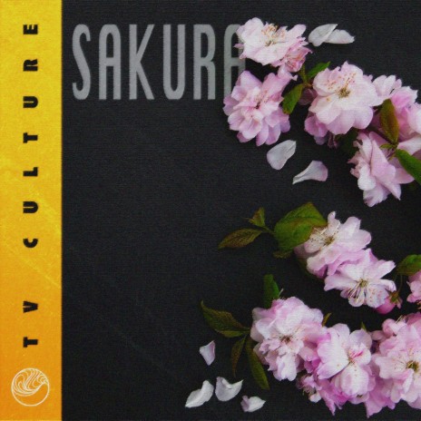 Sakura | Boomplay Music