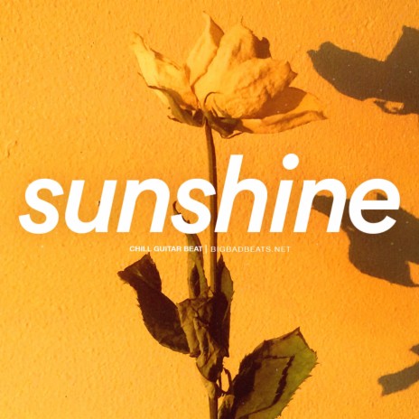 Sunshine | Boomplay Music