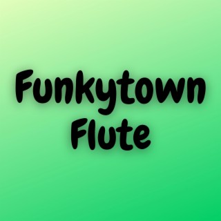 Funkytown (Flute)
