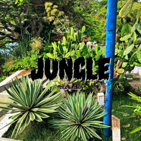 Jungle | Boomplay Music