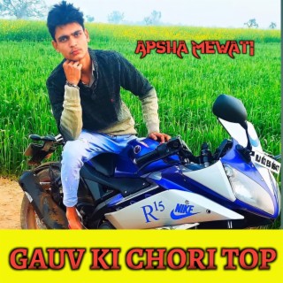 Gauv Ki Chori Top