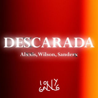 Descarada (Audio oficial) ft. Wilson José & Sanderx lyrics | Boomplay Music