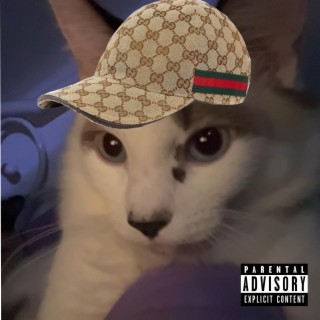 Gucci Pussy