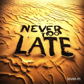 Never Too Late