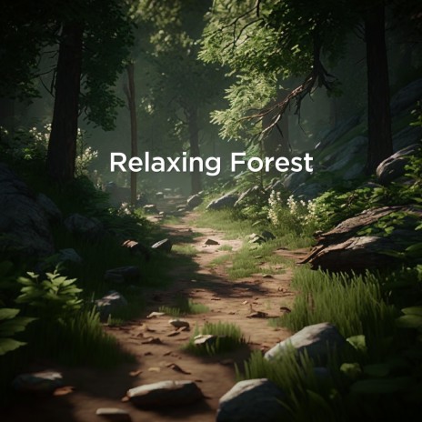 Relaxing Forest | Boomplay Music