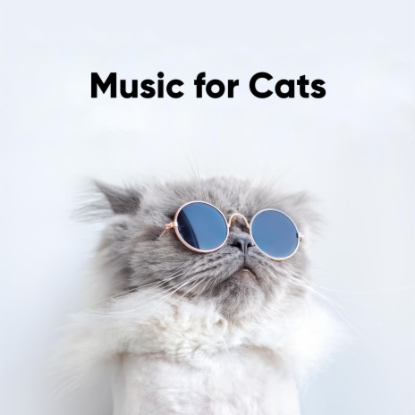 Faith: Instrumental Music for Cats | Boomplay Music