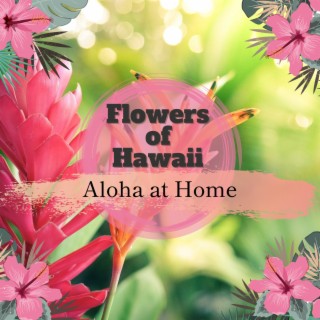 Aloha at Home