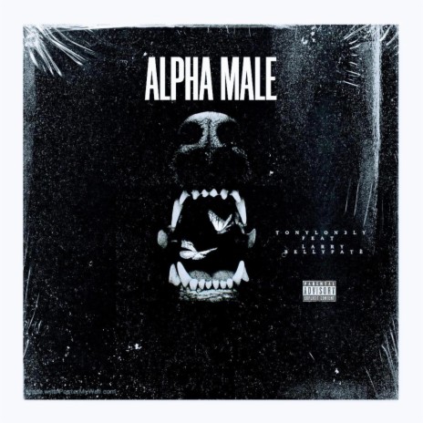 Alpha Male | Boomplay Music