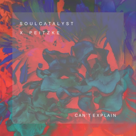 Can't Explain ft. Peitzke | Boomplay Music