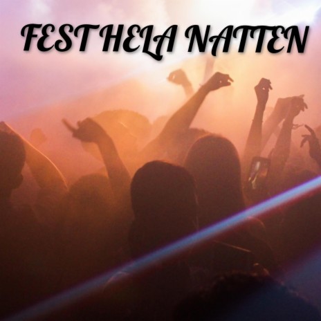 FEST HELA NATTEN | Boomplay Music