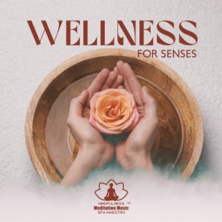 Wellness for Senses: Soft Music for Spa Beauty Treatments, Aromatherapy Sessions, Deep Relaxation & Stress Relief