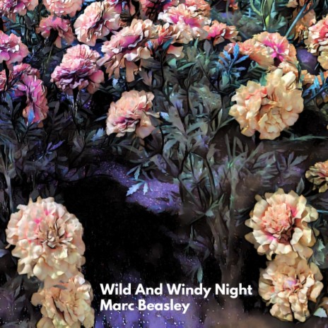 Wild and Windy Night | Boomplay Music