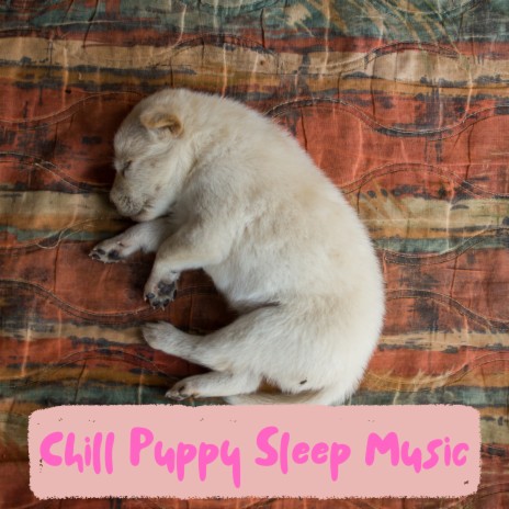 Music For Sleeping Puppies | Boomplay Music