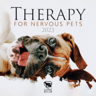 Therapy for Nervous Pets 2023: Help Calm and Reduce Anxiety, Relieve Stress & Music for Relax