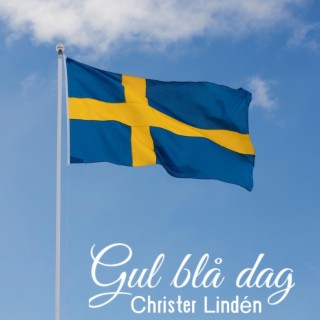 Gul Blå Dag