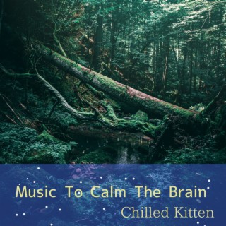 Music To Calm The Brain